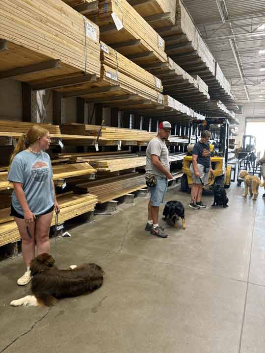 Tin Woof Inn – Canine Academy