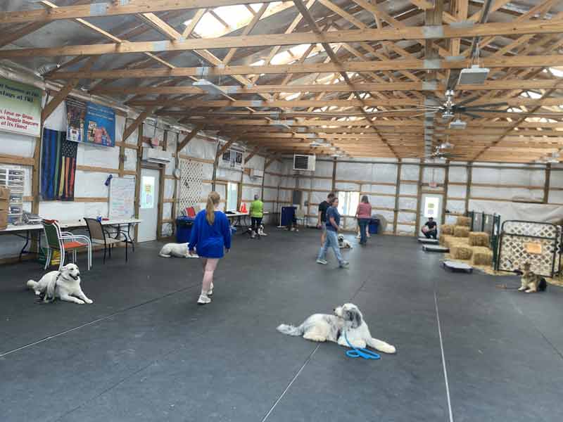 Tin Woof Inn – Canine Academy2