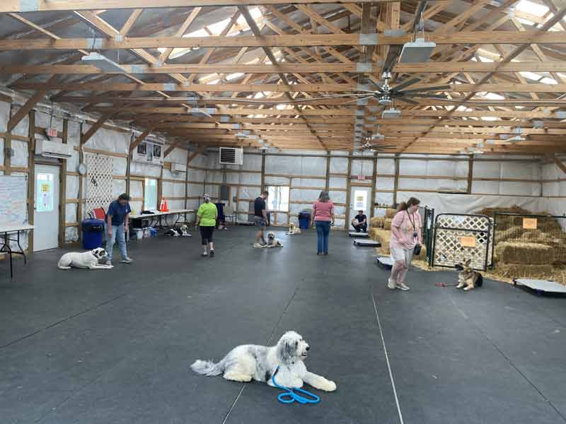 Tin Woof Inn – Canine Academy