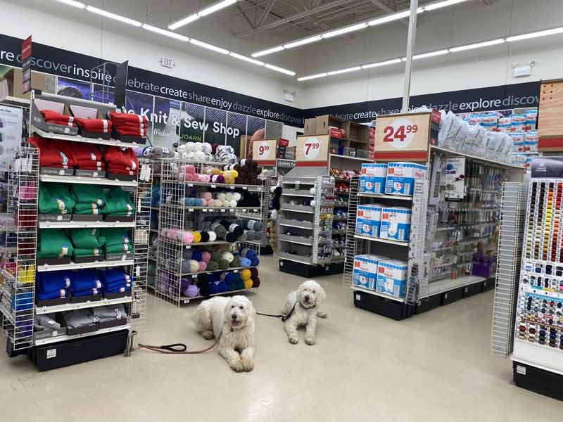 Tin Woof Inn – Canine Academy