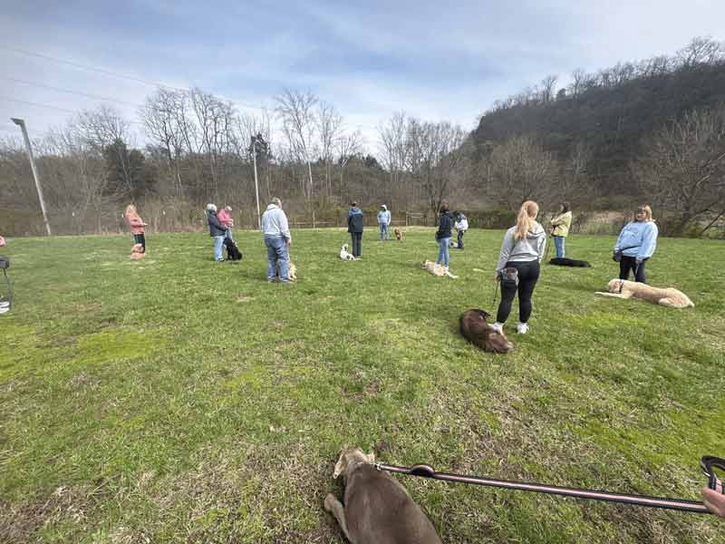 Tin Woof Inn – Canine Academy