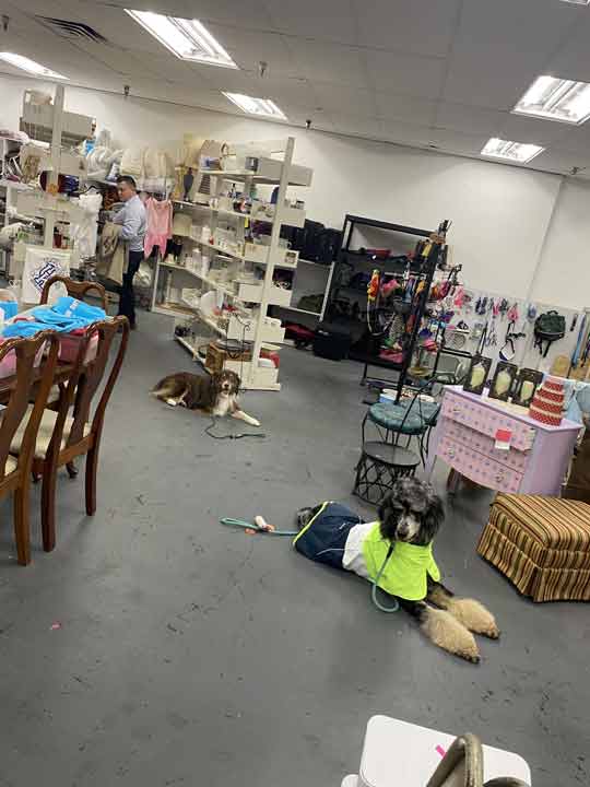 Tin Woof Inn – Canine Academy
