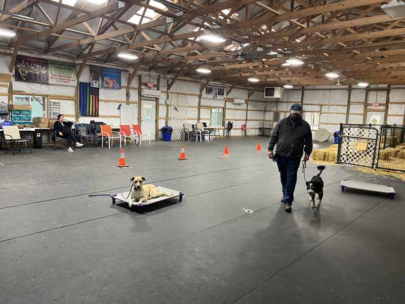 Tin Woof Inn – Canine Academy