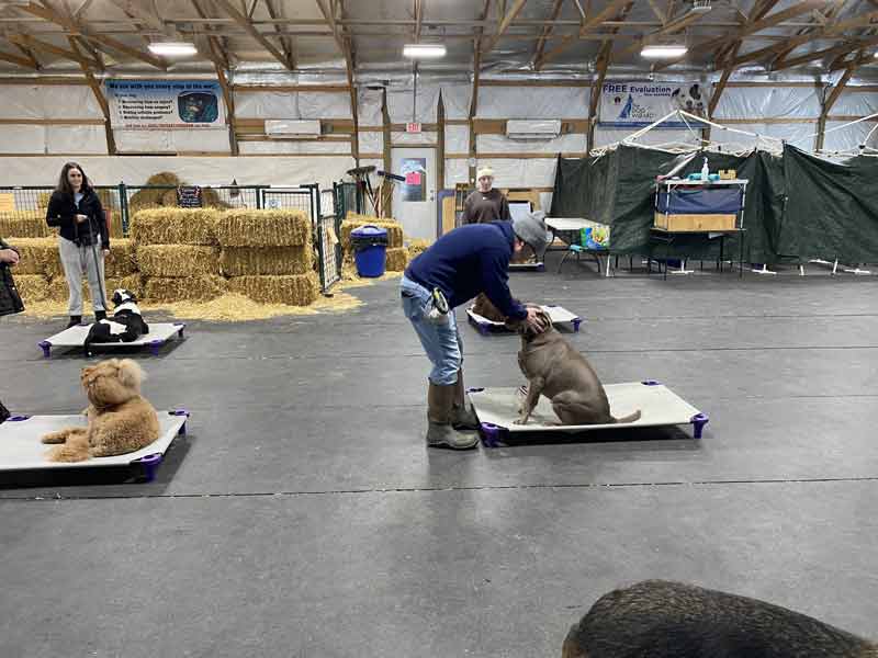 Tin Woof Inn – Canine Academy