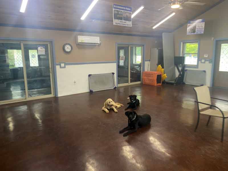 Tin Woof Inn – Canine Academy