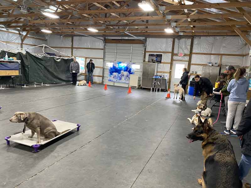 Tin Woof Inn – Canine Academy