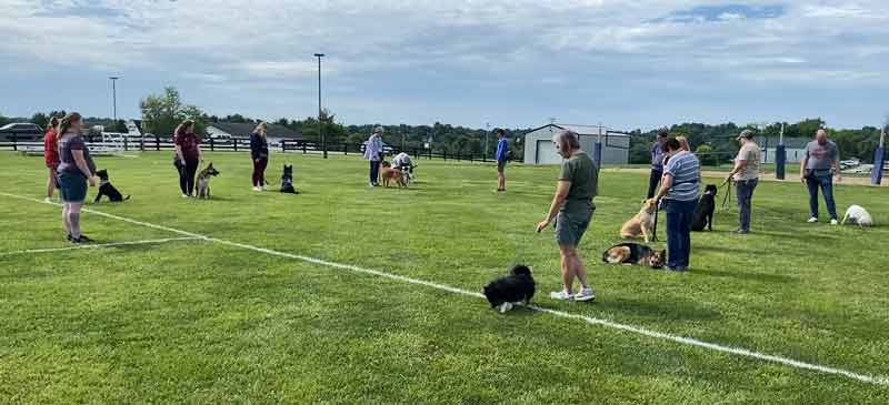 Tin Woof Inn – Canine Academy