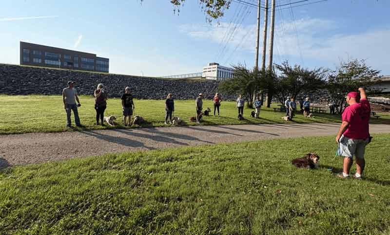 Tin Woof Inn – Canine Academy
