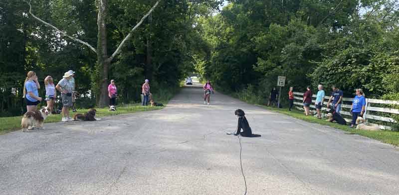 Tin Woof Inn – Canine Academy