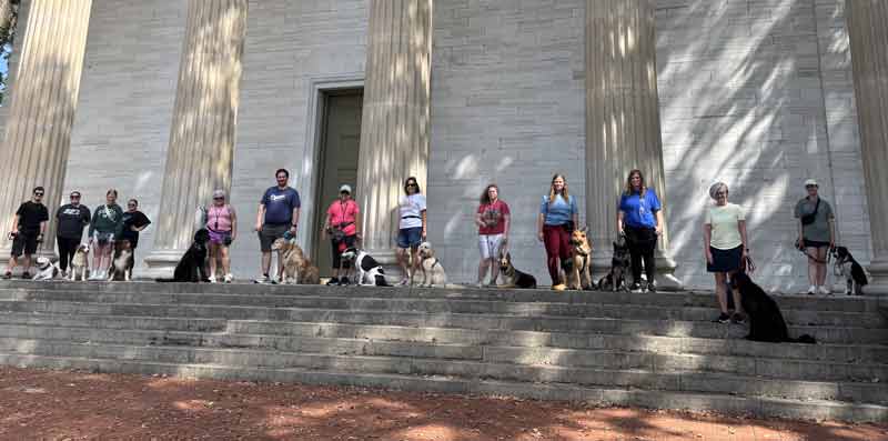 Tin Woof Inn – Canine Academy