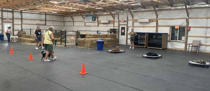 Tin Woof Inn – Canine Academy