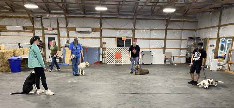 Tin Woof Inn – Canine Academy