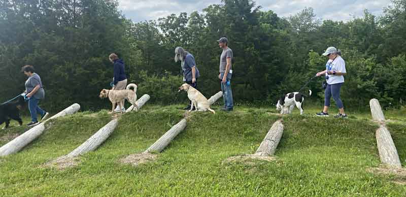 Tin Woof Inn – Canine Academy