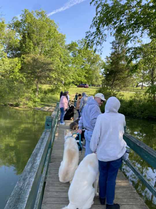Tin Woof Inn – Canine Academy